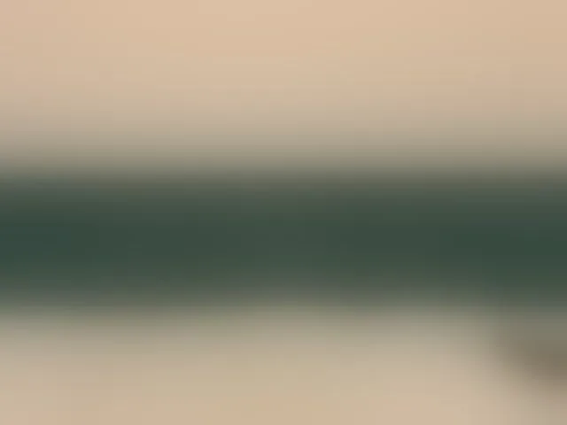 Live sex webcam photo for 72000usd #292478997