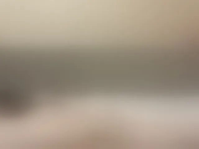 Live sex webcam photo for 72000usd #293525079