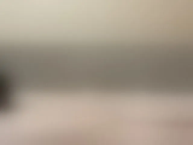 Live sex webcam photo for 72000usd #293604484
