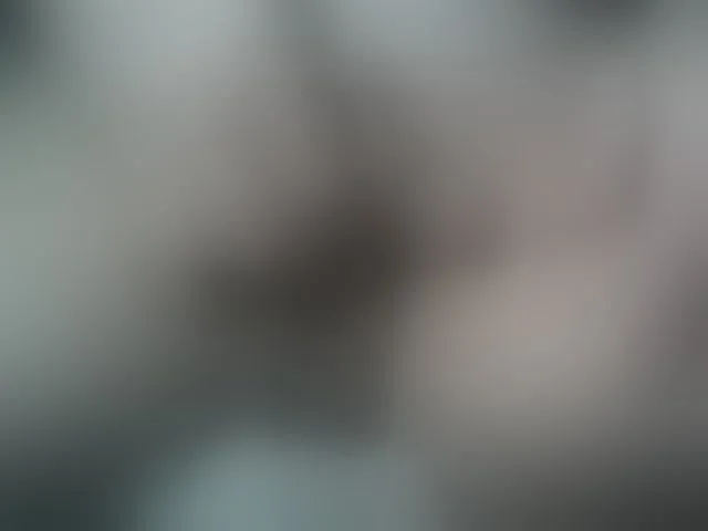 Live sex webcam photo for A5STAS #292460157