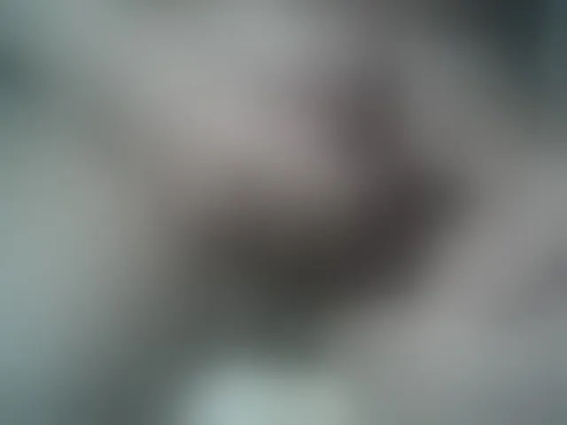 Live sex webcam photo for A5STAS #292494536