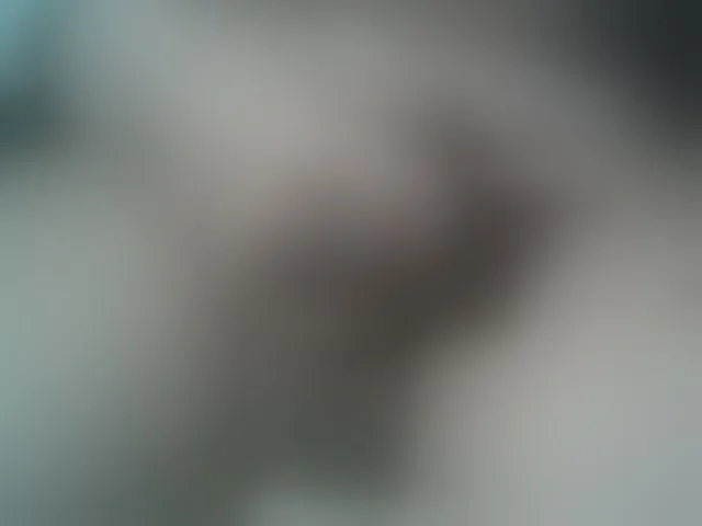 Live sex webcam photo for A5STAS #292624319