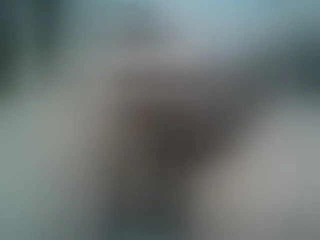 Live sex webcam photo for A5STAS #293070039