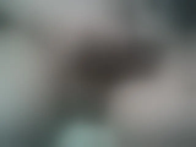 Live sex webcam photo for A5STAS #293145413