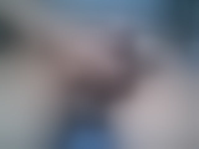 Live sex webcam photo for A5STAS #294217796