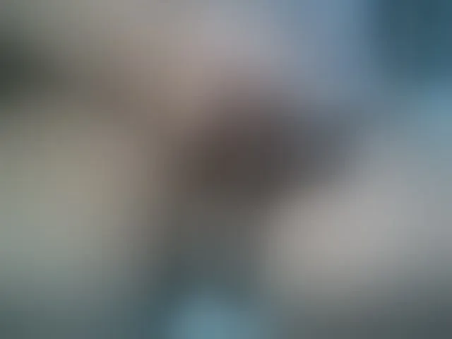Live sex webcam photo for A5STAS #294289250