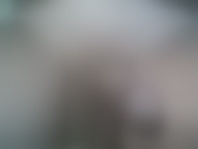 Live sex webcam photo for A5STAS #294372814