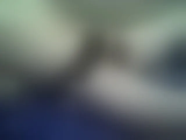 Live sex webcam photo for ALENATRANS1 #292655020