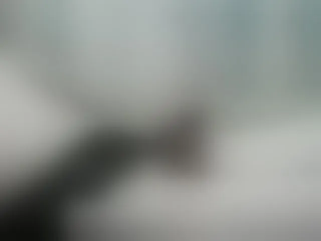 Live sex webcam photo for ALENATRANS1 #292728723