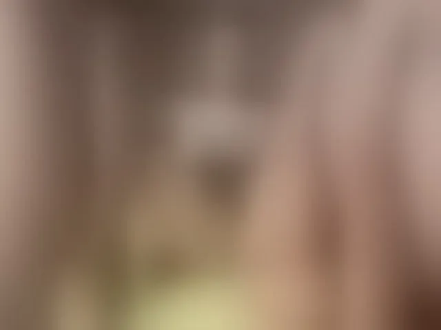 Live sex webcam photo for ALISAMAKS #293976024