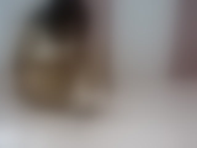 Live sex webcam photo for ALYASH #294010200