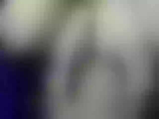 Live sex webcam photo for ANGELonDUTY #277571536
