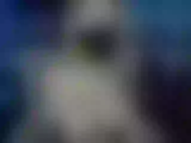 Live sex webcam photo for ANGELonDUTY #291000525