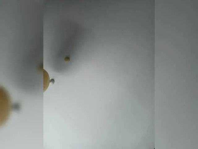 Live sex webcam photo for ASaraVIPboobs #275705570