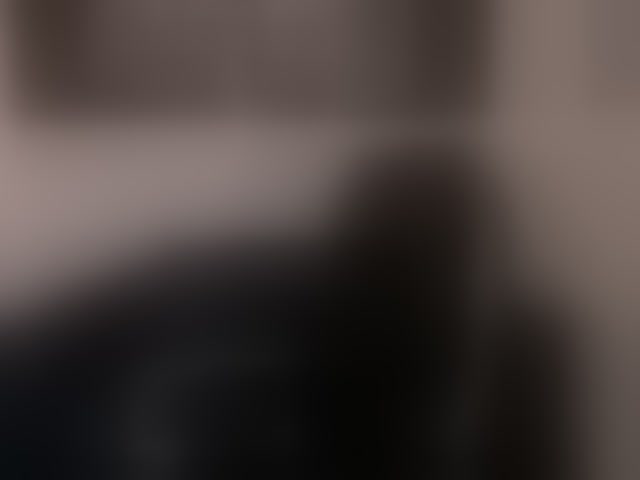 Live sex webcam photo for AbbyDalton #294304673