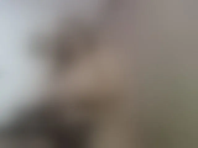 Live sex webcam photo for Abigail-jhons #294130028