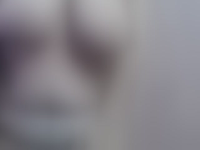 Live sex webcam photo for Abigail-jhons #294271805