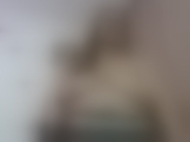 Live sex webcam photo for Abigail-jhons #294282482