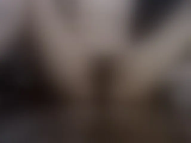 Live sex webcam photo for AbsentaVert #292811409