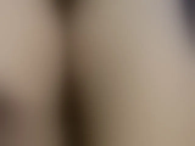 Live sex webcam photo for AbsentaVert #293525910