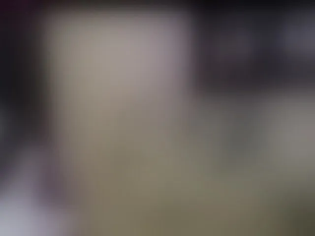 Live sex webcam photo for AbsentaVert #293666616