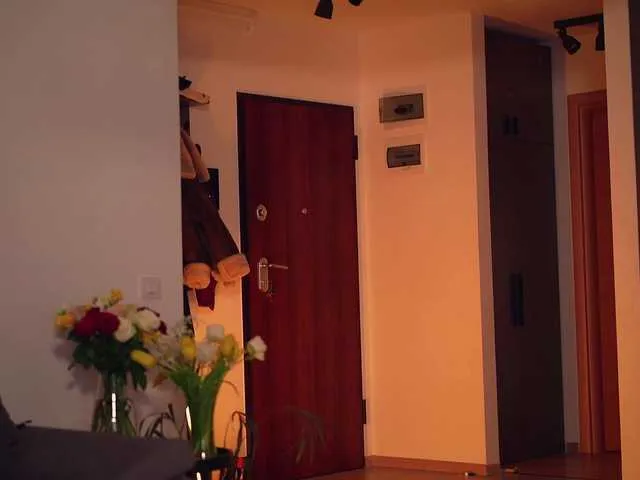 Live sex webcam photo for Adallinee #290696190