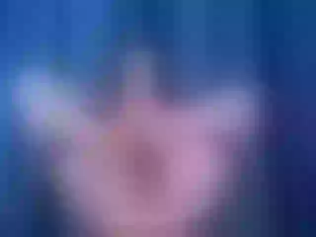 Live sex webcam photo for AddisonBlack #276078123