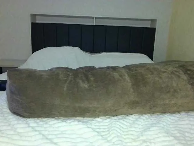 Live sex webcam photo for Adel0299 #291768306