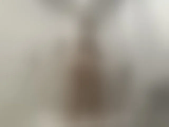 Live sex webcam photo for Adelaida1001 #293768187