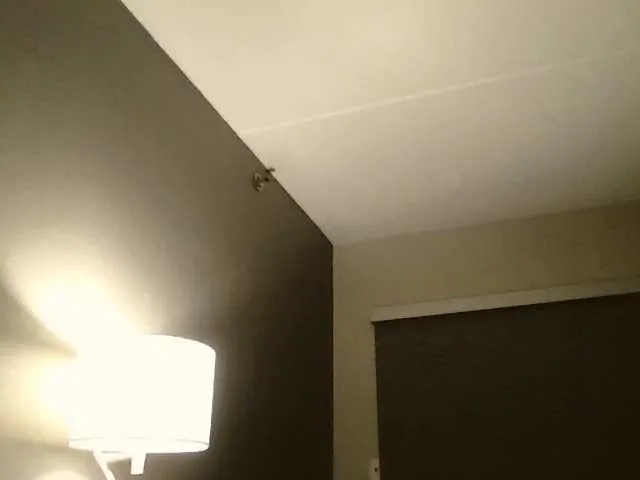 Live sex webcam photo for Adelaideskyy #291500098