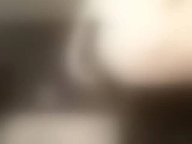 Live sex webcam photo for Adelaideskyy #293102794