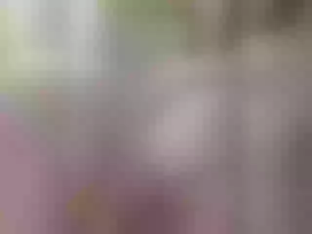 Live sex webcam photo for Adelina-Libby #291594262