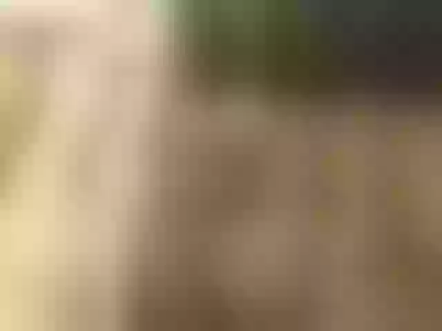 Live sex webcam photo for Adelina-Libby #291986225