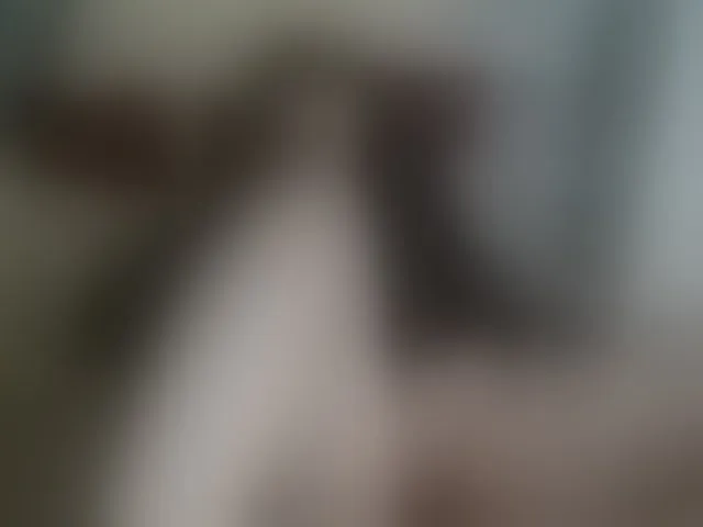 Live sex webcam photo for AdelinaLawson #293337289
