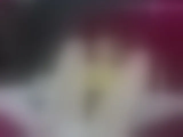 Live sex webcam photo for AdiraDare #277681948