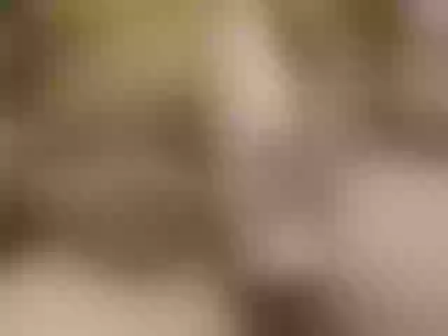 Live sex webcam photo for Adiseba10 #290629967