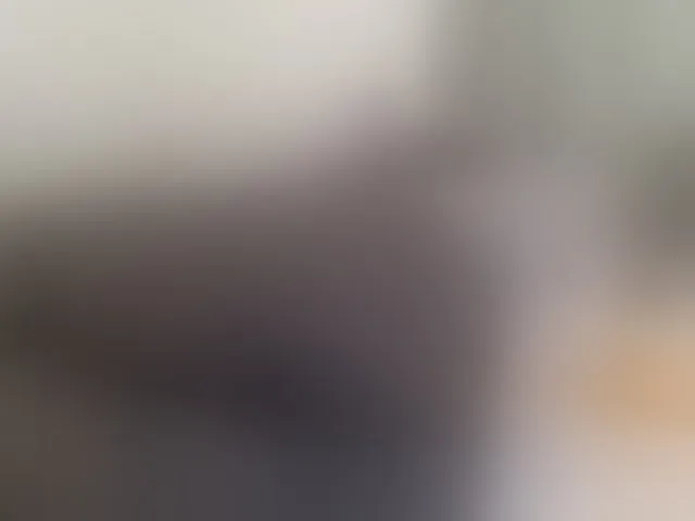 Live sex webcam photo for AfricanBigass #290764472