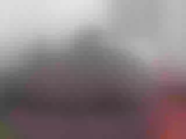 Live sex webcam photo for AfricanBigass #290985908