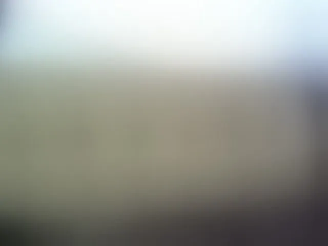 Live sex webcam photo for Africanpretty22 #292663089