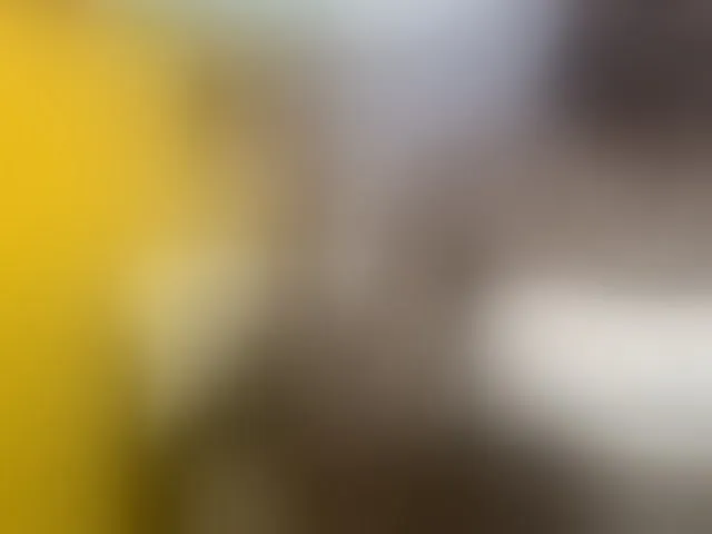 Live sex webcam photo for Africanpretty22 #292908427