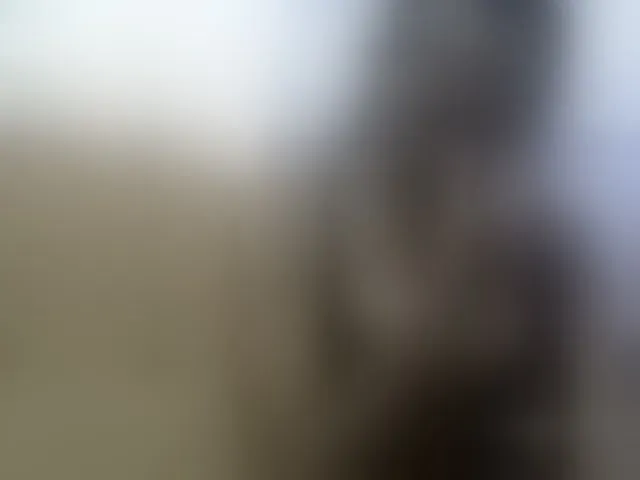 Live sex webcam photo for Africanpretty22 #293026450