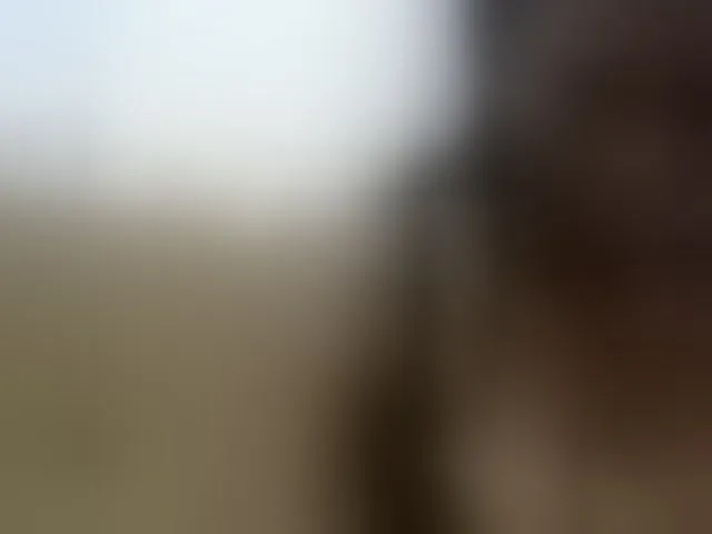 Live sex webcam photo for Africanpretty22 #293184409