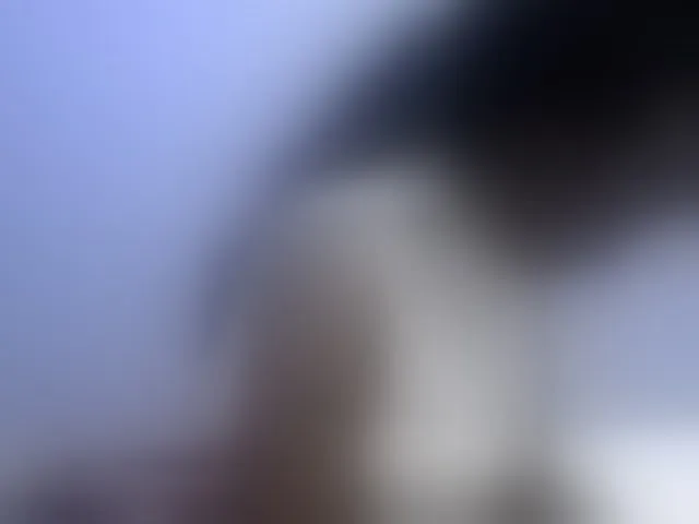 Live sex webcam photo for Africanpretty22 #293272209