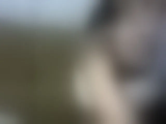 Live sex webcam photo for Africanpretty22 #293364925