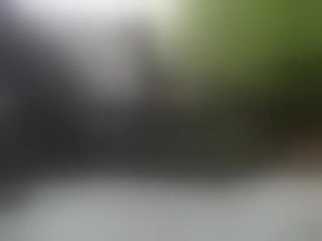 Live sex webcam photo for Africoc #289844444