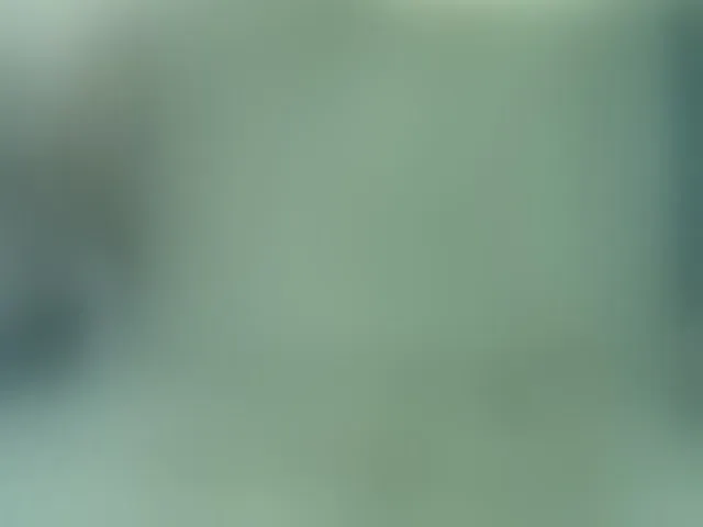 Live sex webcam photo for Africoc #293556765