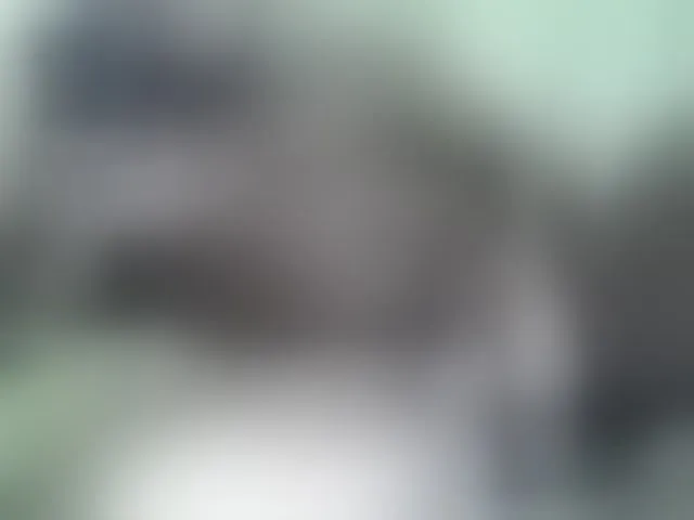 Live sex webcam photo for Africoc #293591134