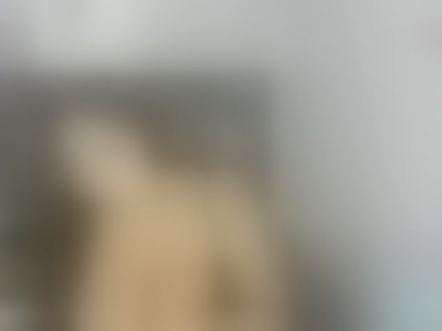 Live sex webcam photo for Afrodita-Roos #294083778