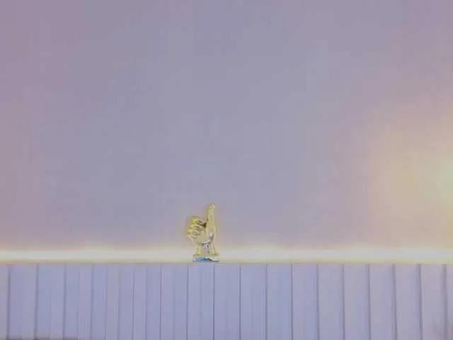 Live sex webcam photo for Aida-Moreno #291804804