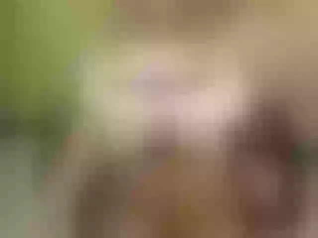 Live sex webcam photo for AidaWell #277177633
